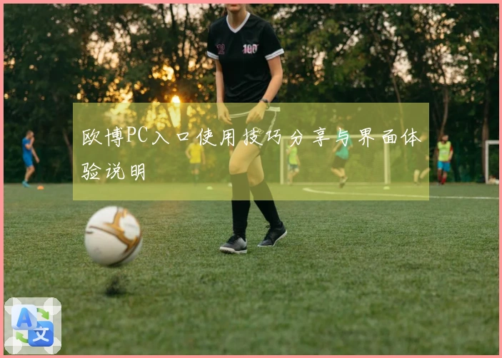 欧博PC入口使用技巧分享与界面体验说明