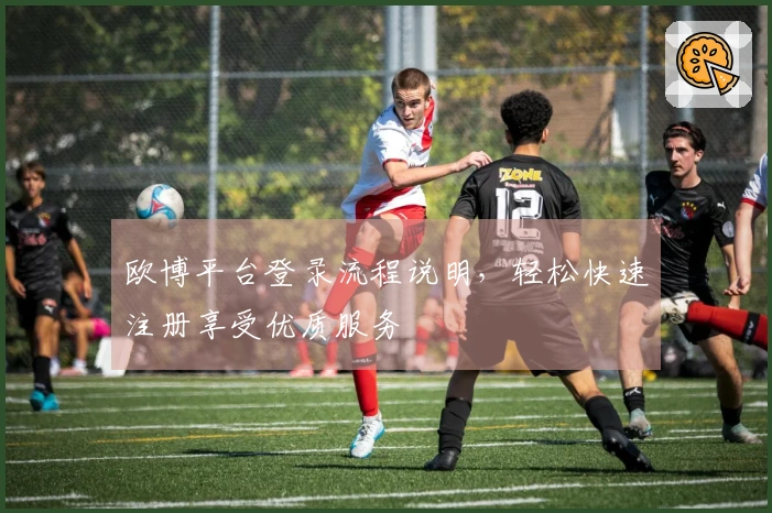 欧博平台登录流程说明，轻松快速注册享受优质服务