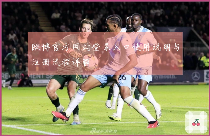 欧博官方网站登录入口使用说明与注册流程详解