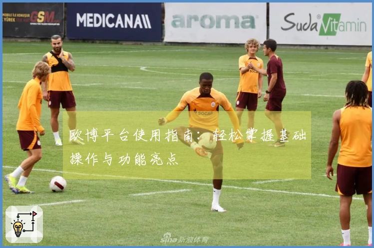 欧博平台使用指南：轻松掌握基础操作与功能亮点