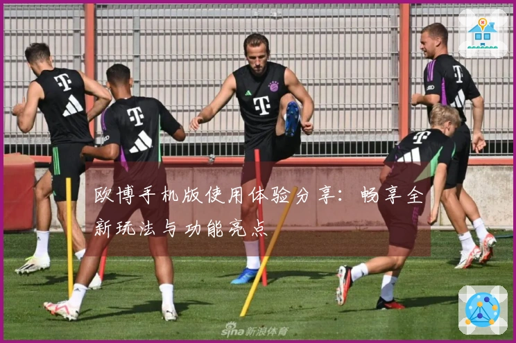 欧博手机版使用体验分享：畅享全新玩法与功能亮点
