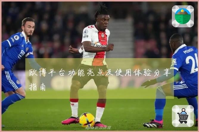 欧博平台功能亮点及使用体验分享指南